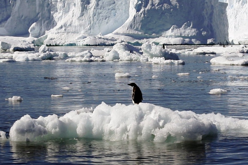 An Adélie penguin stands atop a block of melting ice near the French station at Dumont d’Urville in East Antarctica. Photo: Reuters