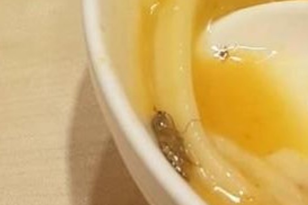 The owner of the restaurant in Zhengzhou in Henan province said cockroaches shouldn’t bother diners. Photo: SCMP Pictures