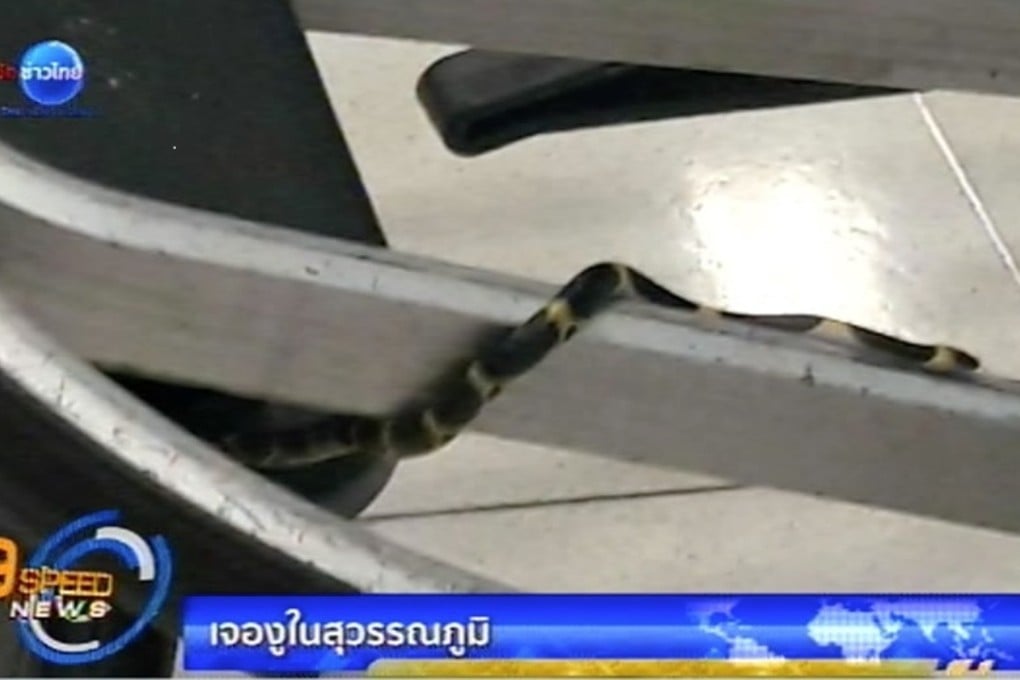 The snake was not considered poisonous. Photo: www.tnamcot.com