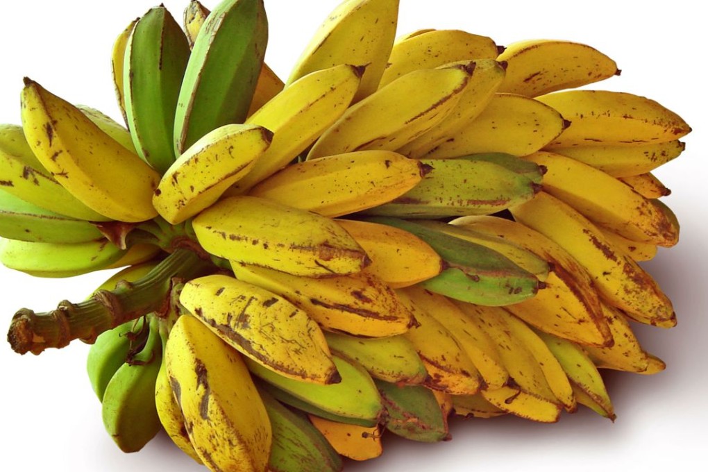 The bananas had a laxative effect. Photo: SCMP Picture