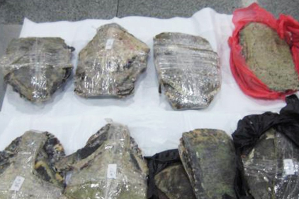 Some of the shells found at the Futian crossing. Photo: Qq.com