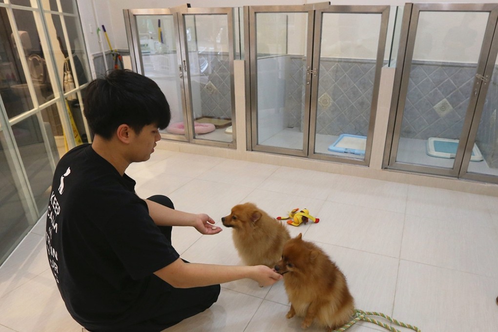 Putting your pooch in a pet hotel for the Lunar New Year? Make sure to check on surcharges and fees for additional services, says the Consumer Council. Photo: Dickson Lee