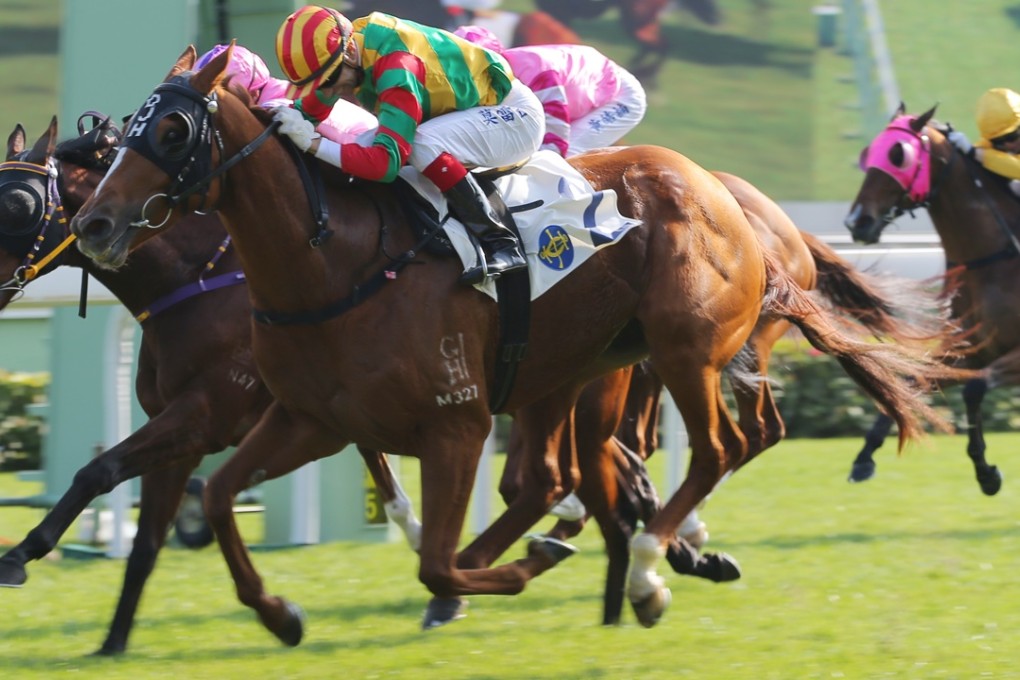 Joao Moreira willtake the ride on bamboo dance on Sunday. Photos: Kenneth Chan