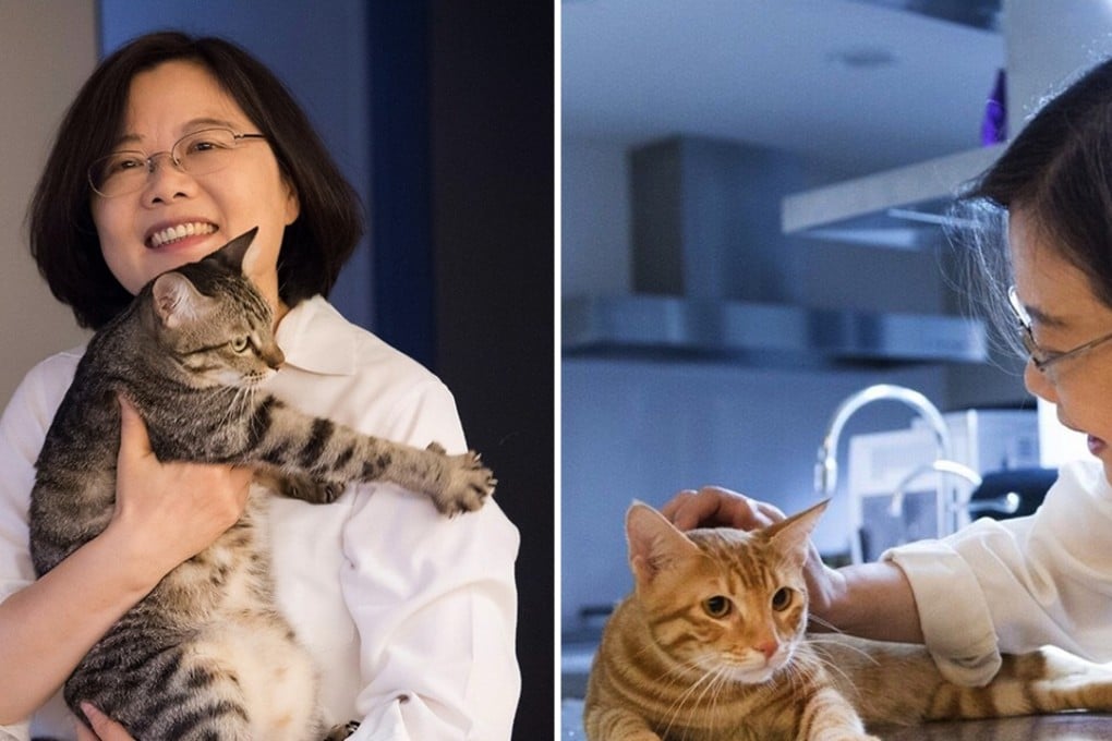 President-elect Tsai Ing-wen pictured with her pets. Photo: SCMP Pictures