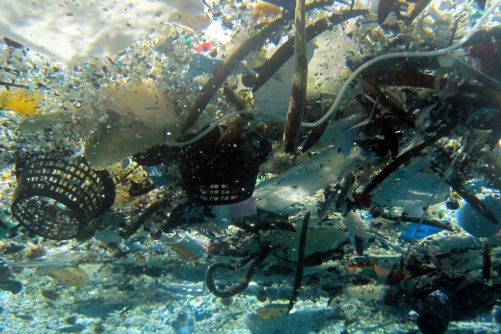A photo provided by NOAA Pacific Islands Fisheries Science Centre shows plastic and other debris in Hanauma Bay, Hawaii. Photo: AP