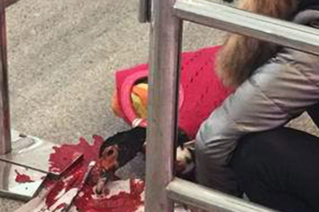 The duck had its throat cut in front of startled passengers who were waiting to take a train in Chengdu on Tuesday. Photo: Weibo