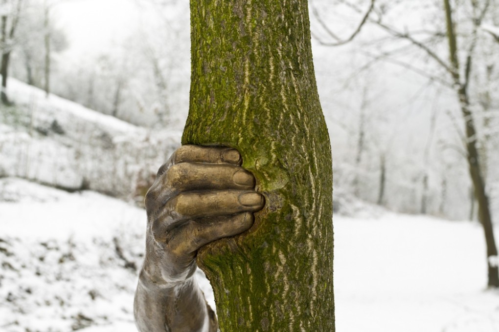 Penone’s 1968 piece Continuerà a crescere tranne che in quel punto (It will continue to grow except at that point). Photos: Archivio Penone