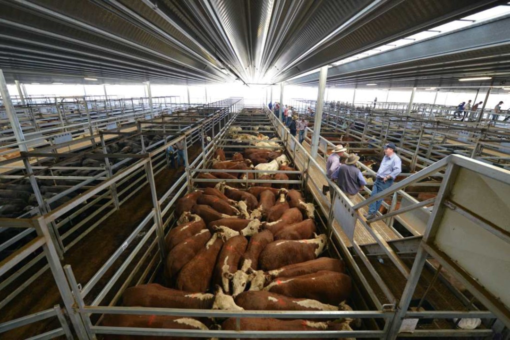 Exports of Australian dairy products to China has risen by 70 per cent in the past five years. Photo: AFP