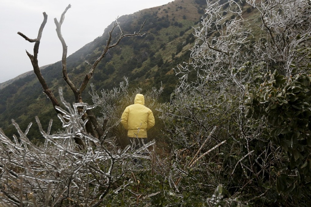 A hiker walks past icy plants under sub-zero temperatures at Tai Mo Shan Photo: Reuters