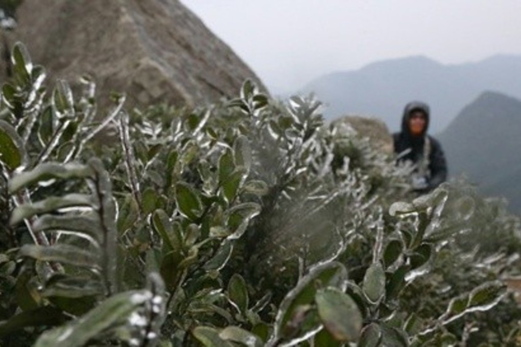 “Freezing rain” and “small ice pellets” were reported across Hong Kong, not just at the highest peaks. Photo: Felix Wong