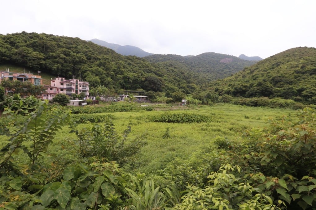 A village in northern Lantau. Never mind the simple pleasures of Hong Kong residents who value Lantau for its hiking trails, beaches, forests, vegetable farms, villages and relatively fresh air. Photo: K. Y. Cheng