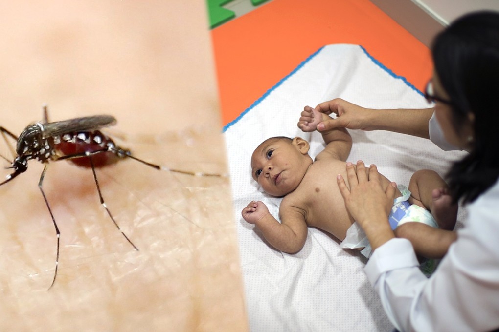 An Aedes aegypti mosquito is seen on human hand in a laboratory in Colombia. The WHO called the special session in part to convey its concern about an illness that has sown fear among many would-be mothers, after mounting evidence from Brazil suggesting infection in pregnant women is linked to abnormally small heads in their babies. Photo: Reuters / AP