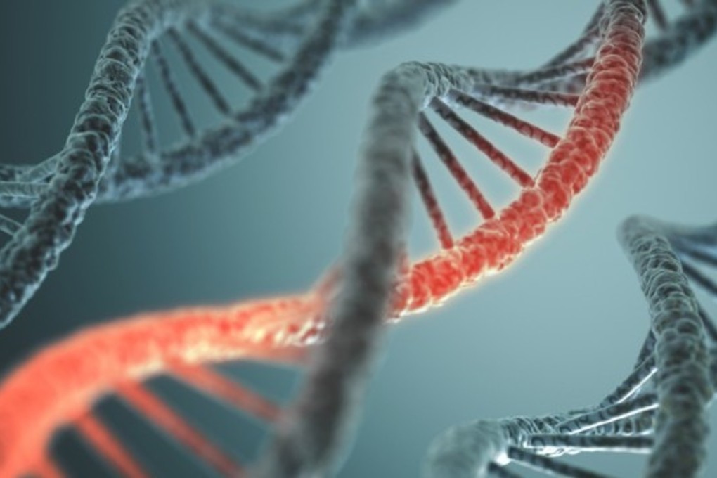 Britain’s granting of its first licence for the genetic modification of human embryos is likely to raise ethical concerns. Photo: Shutterstock