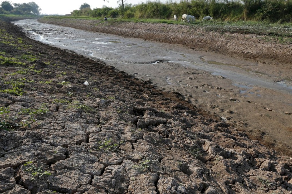 A dry canal in Thailand’s Nakhonsawan province, north of Bangkok. Photo: Reuters