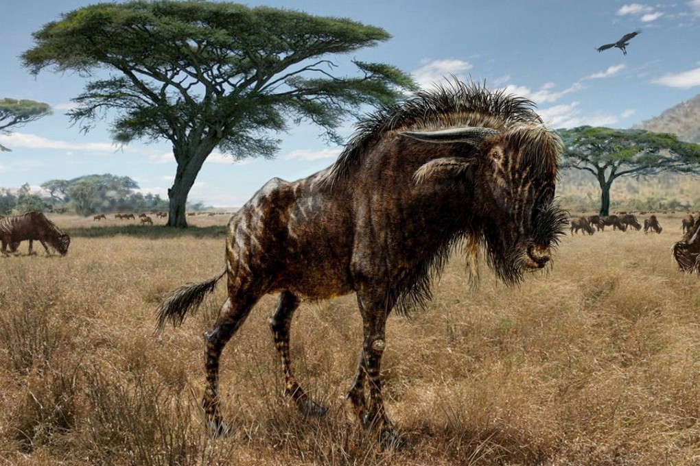An artist's interpretation of Rusingoryx atopocranion on the Late Pleistocene plains of what is now Rusinga Island, Lake Victoria. Graphic: Reuters/Todd S. Marshall