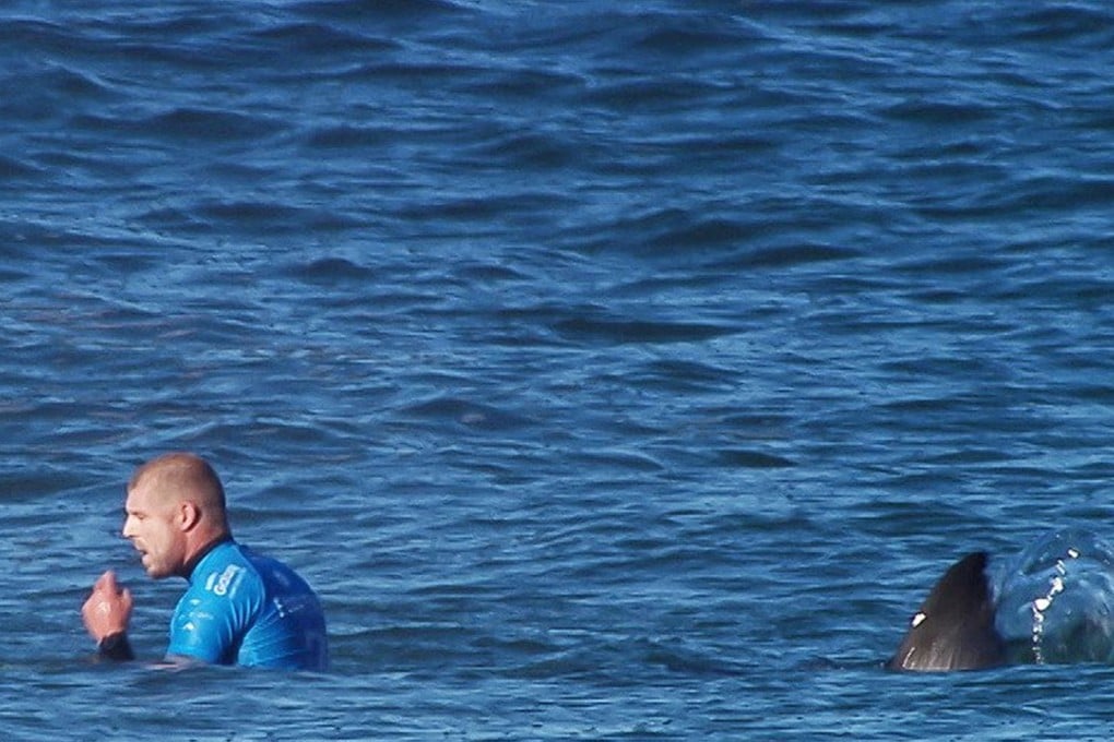 Video captures the moment when Australian surfer Mick Fanning was attacked by a shark during the World Surfing League competition in South Africa in July last year. Photo: SCMP Picture