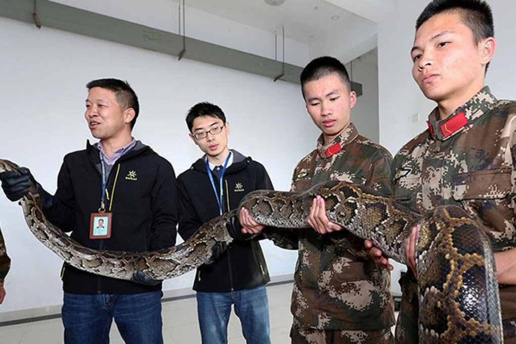 PLA soldiers and the python discovered on the border. Photo: Yangcheng Evening News