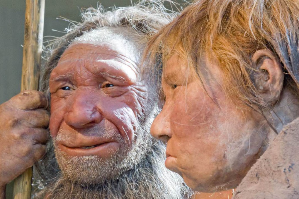 The study found that modern human DNA contains 135,000 gene variants that come from Neanderthals, who disappeared around 30,000 years ago. Photo: AP