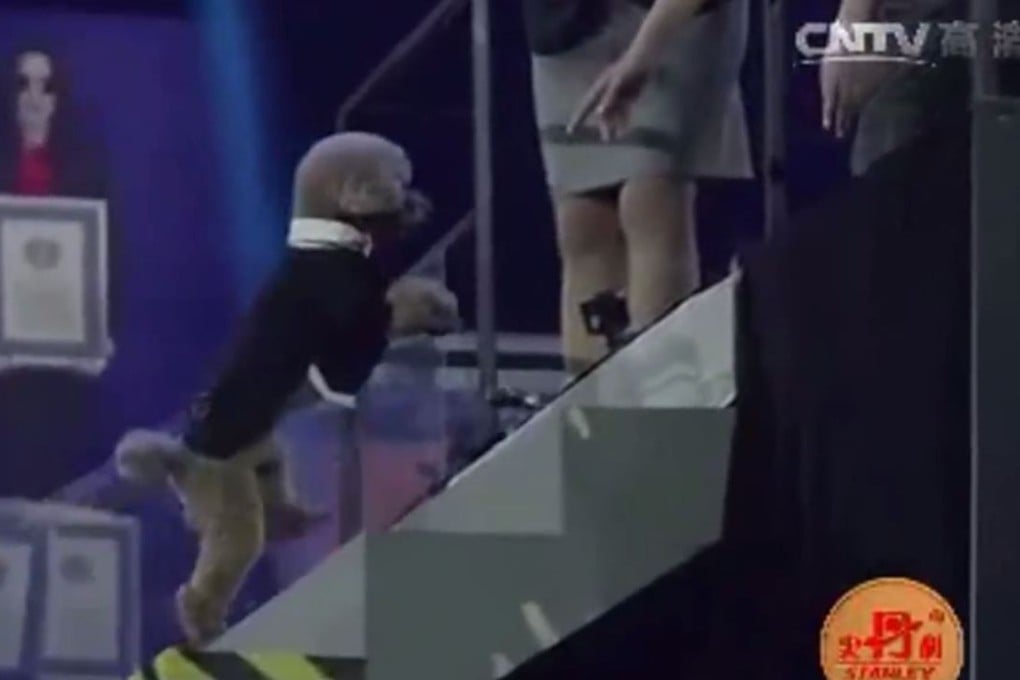Arsenal smashes the world record in her unique field. Photo: CCTV