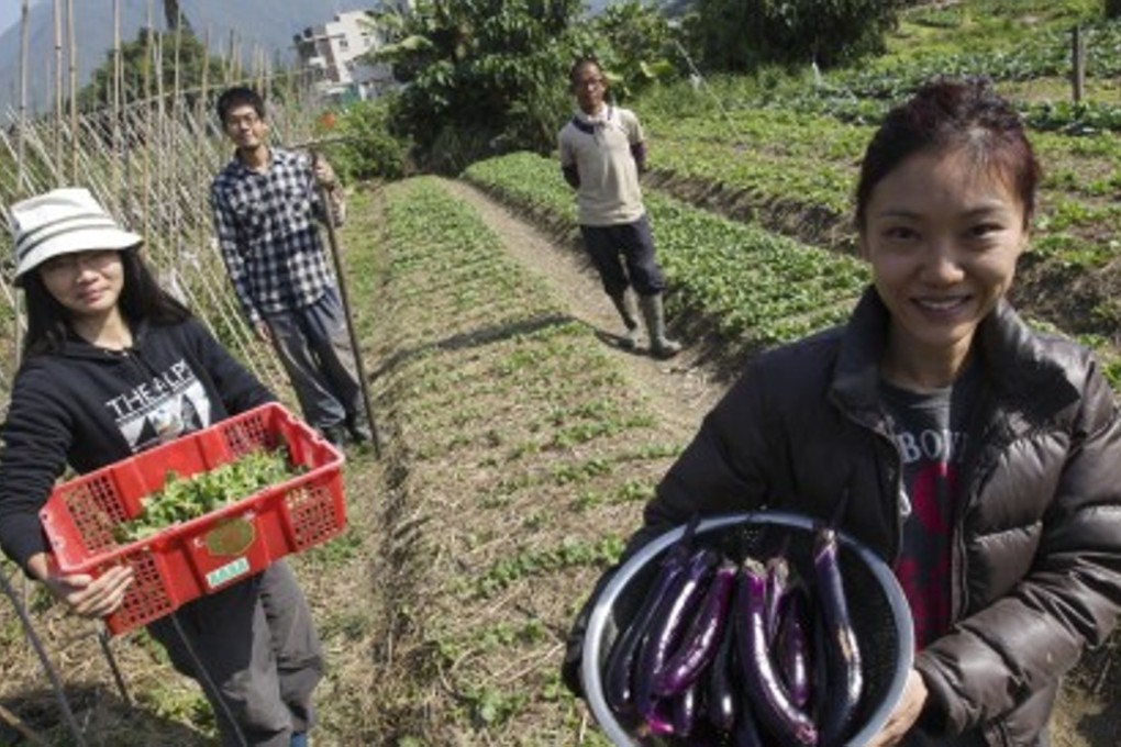 A fun day at the farm to forget your big city worries, or a new business idea for migrant workers? Gohome caters to both, which is why its co-founder believes it has all the ingredients to be a hit app nationwide. Photo: Dickson Lee