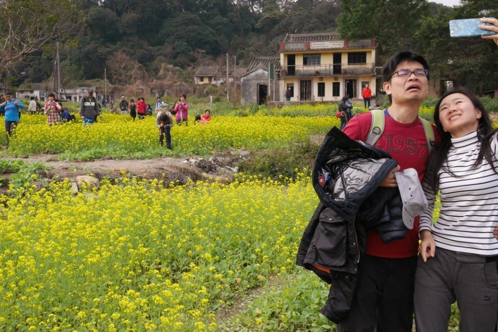 Hongkongers visit the rapeseed field next to Cheung Uk village in Sha Lo Tung. Environmentalists are not so taken by the villagers’ move to plant the crop there, and suspect their motives. Photo: Martin Chan