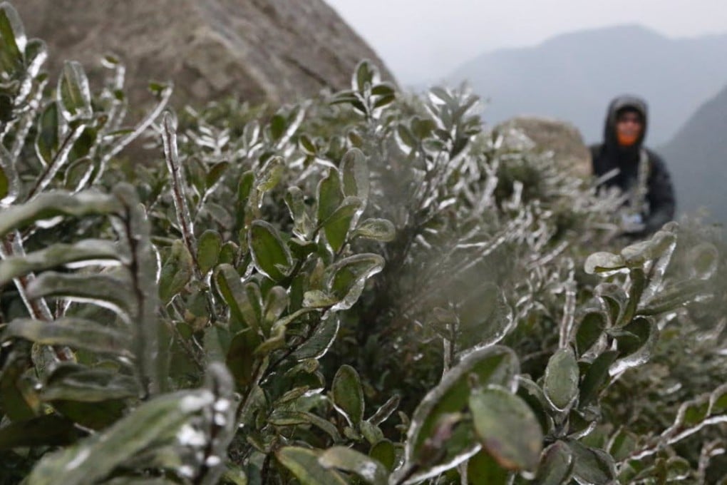 A Hongkonger braves frosty weather on Tai Mo Shan during the cold snap that hit the city in January. Photo: Felix Wong