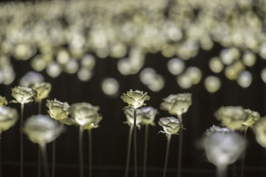 An installation of 25,000 rose-shaped LED lights was set up in Central, Hong Kong, to mark Valentine’s Day this year. When it comes to helping start-ups, the more important objective for the government should be to develop the whole sector. Photo: Xinhua