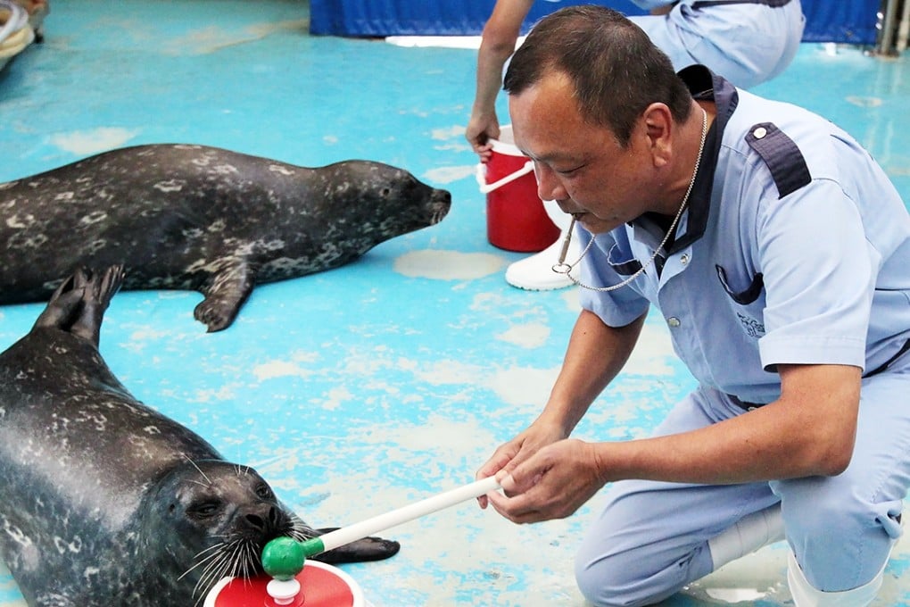 Ocean Park staff with Rose, a harbour seal, who underwent a successful operation to remove cataracts on her right eye last year. Photo: Bruce Yan