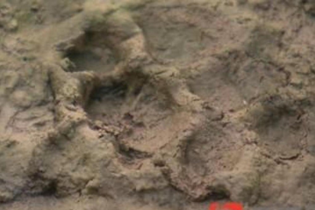 The hunt is on ... but so far this muddy, webbed four-toed footprint is the only clue left behind by a bloodsucking predator that has killed more than 200 chickens and ducks in a Chinese village. Photo: Youth.cn
