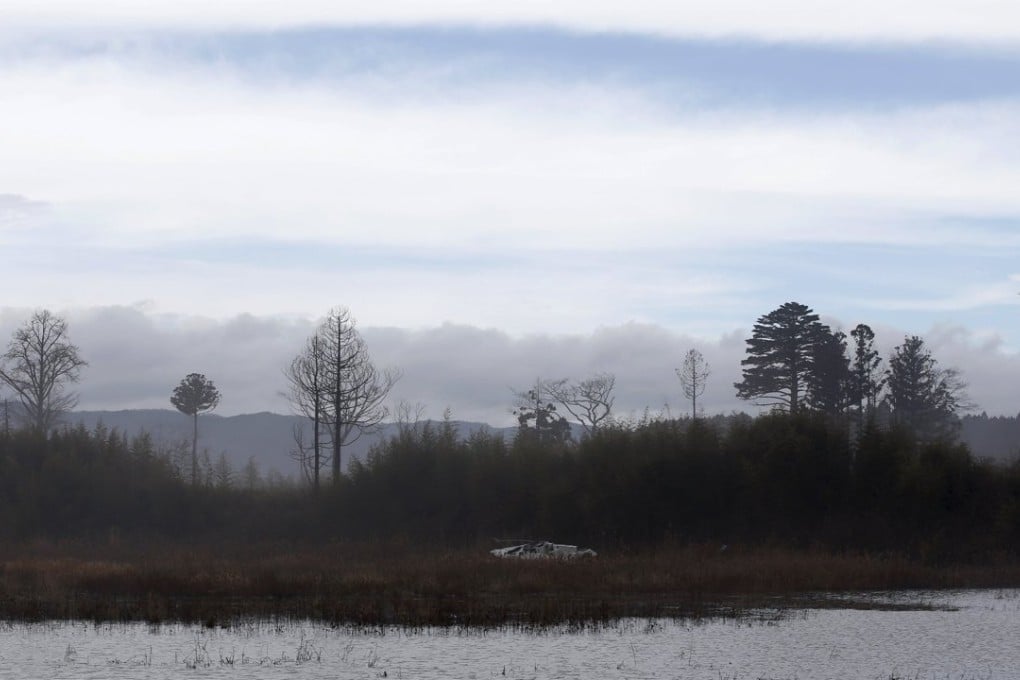 Greenpeace says ‘vast stocks of radiation’ have made wooded areas impossible to decontaminate. Photo: Reuters