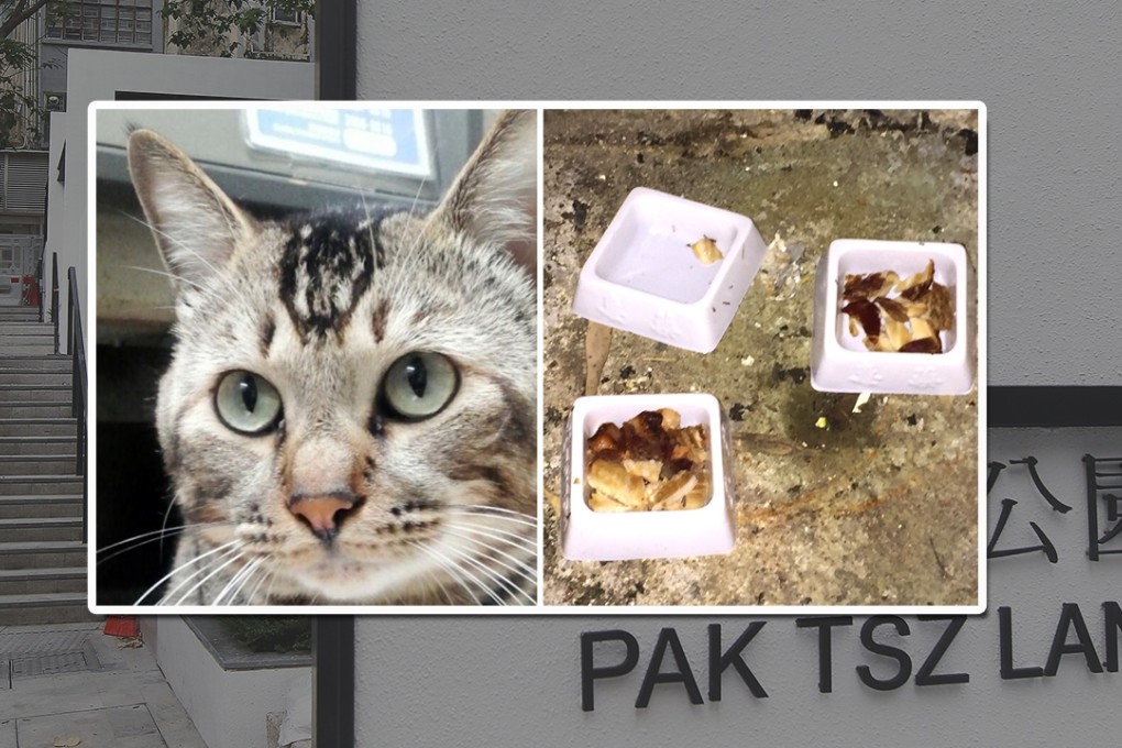 The Pak Tsz Lane park is on the Sun Yat Sen historical trail, but it has now gained a more sinister notoriety. Photo: SCMP Pictures