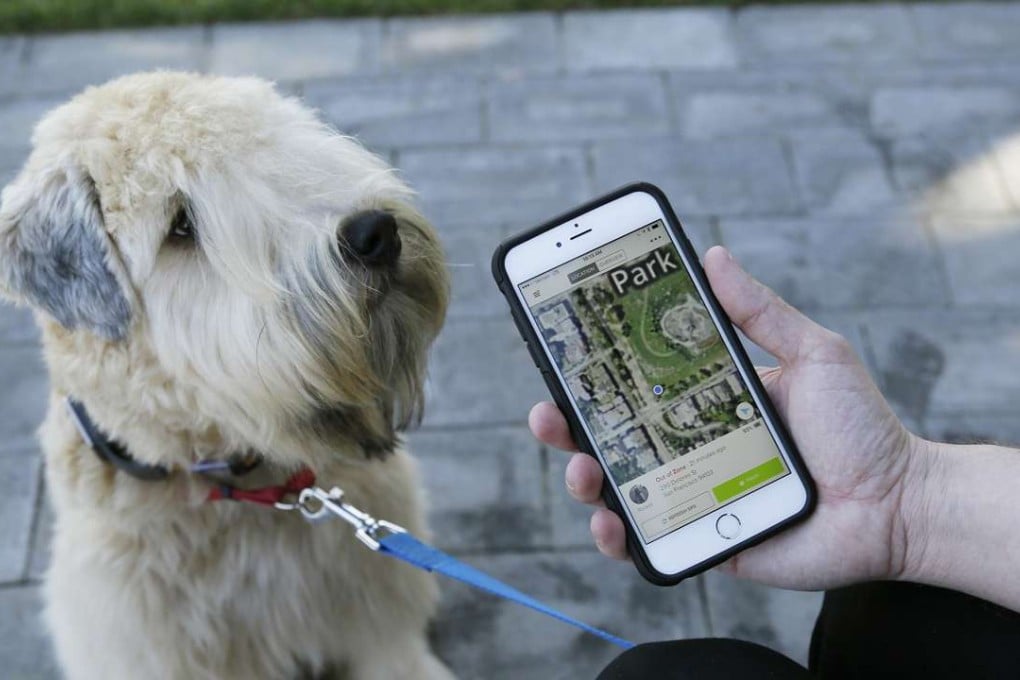 Russell Gipson Shearer displays on his phone how the Whistle pet tracker follows his dog Rocket in San Francisco. Photos: AP