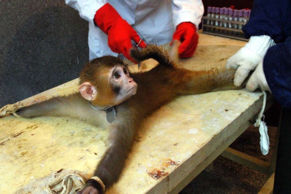 There are cruelty-free alternatives to using live animals for scientific research and medical training. Photo: Xinhua