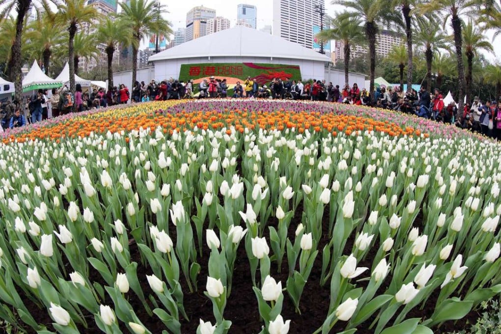 First day of the Hong Kong Flower Show 2016 at the Victoria Park in Causeway Bay. Photo: Edward Wong
