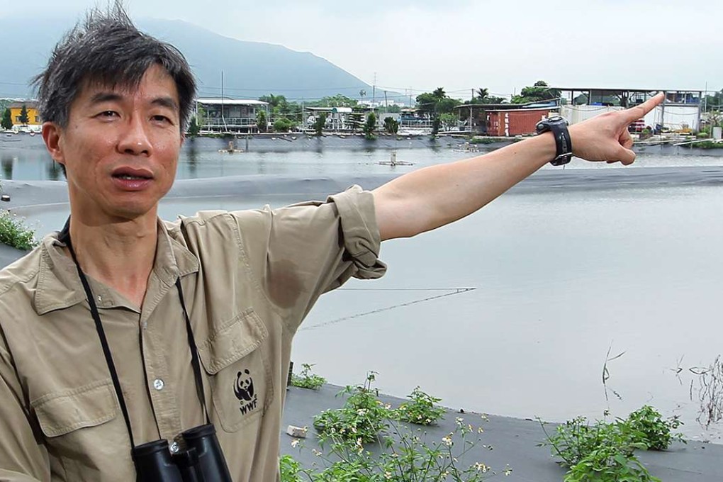 Conservationist Dr Michael Lau Wai-neng said more efforts would have to be made to improve marine conservation. Photo: Nora Tam