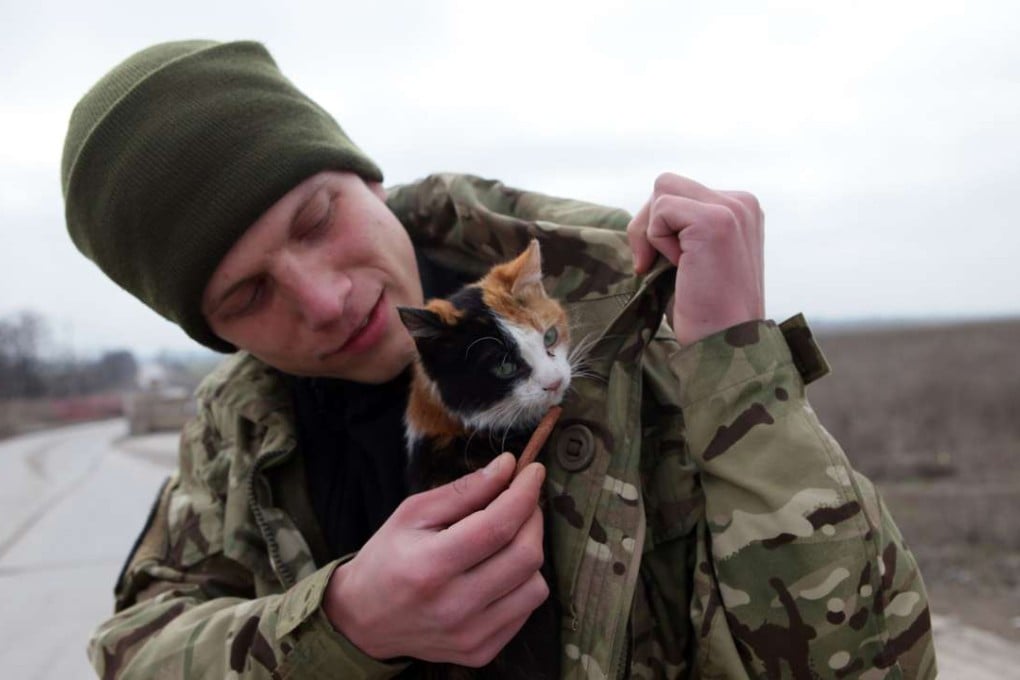 A Ukrainian serviceman cuddles his pet cat as he guards a checkpoint near Sartana village in the conflict zone in the Donetsk region. Photo: AFP