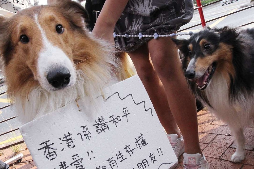 A protest at a private estate in 2010 when the owners’ committee voted to ban keeping pets in the estate. Photo: SCMP Pictures