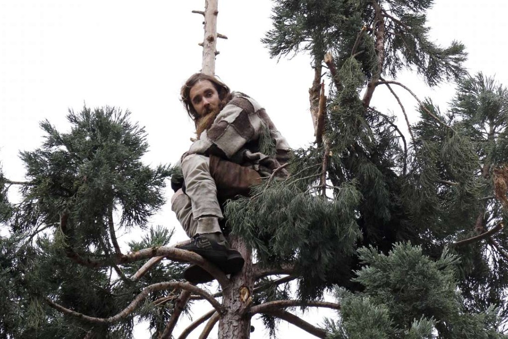 A man sits near the top of a sequoia tree in downtown Seattle on Wednesday. Photo: AP