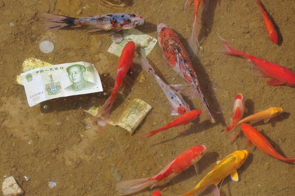 China’s visitors to a park in Shandong province have been feeding real money to fish in the hope it brings them good luck. Photo: 163.com