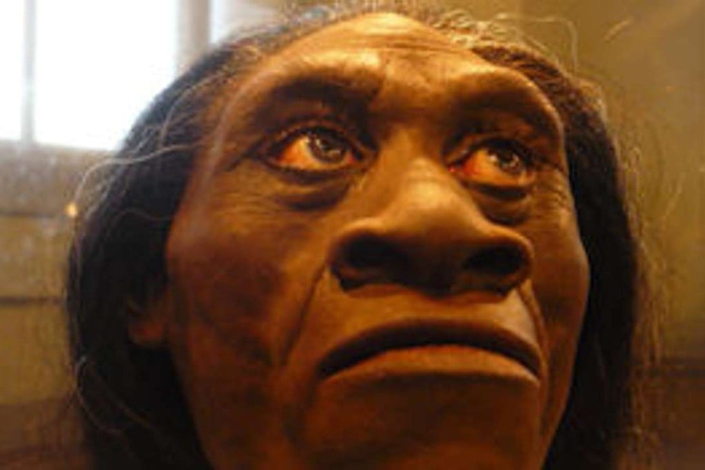 H. floresiensis were troglodytes about a third of the size of a modern human adult. They may have become so small due to a process known as island dwarfism. Photo: Handout