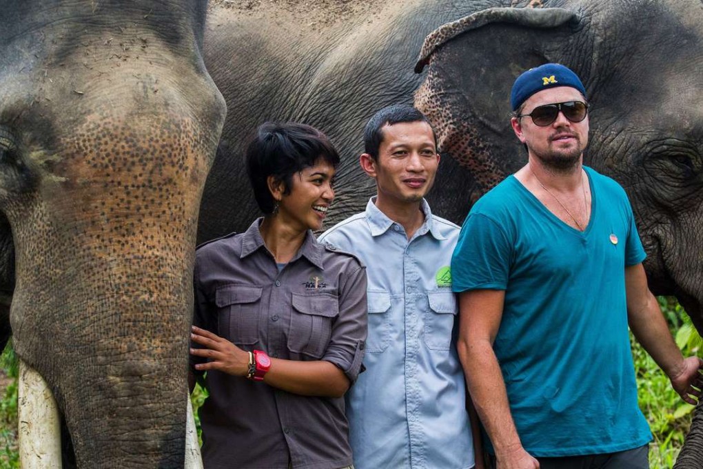 Oscar-winning actor Leonardo DiCaprio poses with elephants during a visit to the Leuser National Park, Aceh. Photo: AFP
