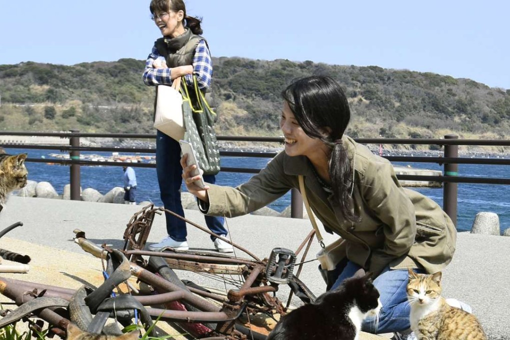 Tourists take pictures of cats on Ainoshima Island in Fukuoka Prefecture, known as “Cat Heaven Island”. Photos: Kyodo