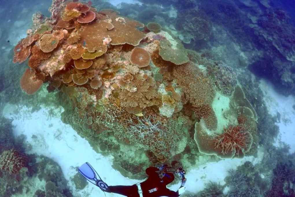 Australia’s Great Barrier Reef is among 114 natural World Heritage sites under threat from industrial development, the WWF says. Photo: Reuters