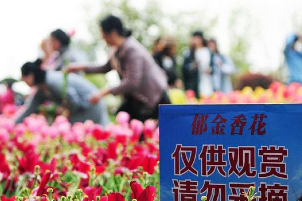 Signs posted among the flowers urged people to look but not touch. Photo: Haiwainet.cn