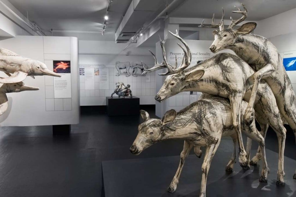 An exhibit at the Museum of Sex in New York.