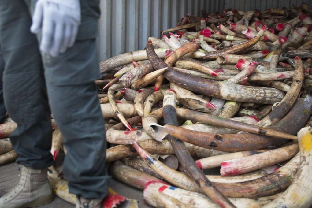 Crush and burn: Malaysia destroys for the first time huge ivory trove ...