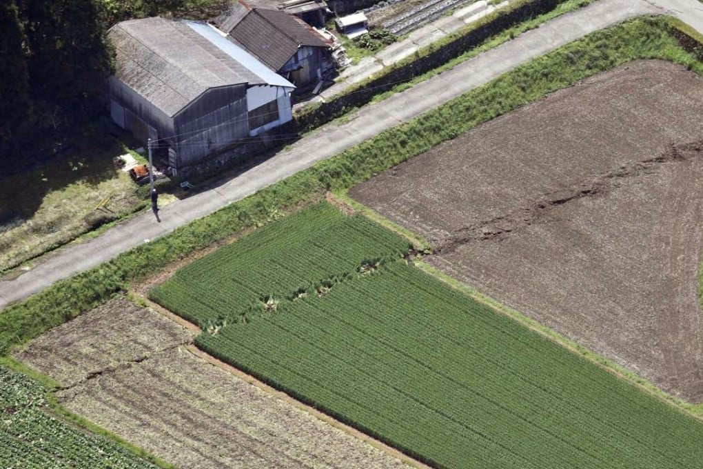 A fault line cuts through a field in Mashiki, Kumamoto Prefecture, after the two quakes. Photo: Kyodo