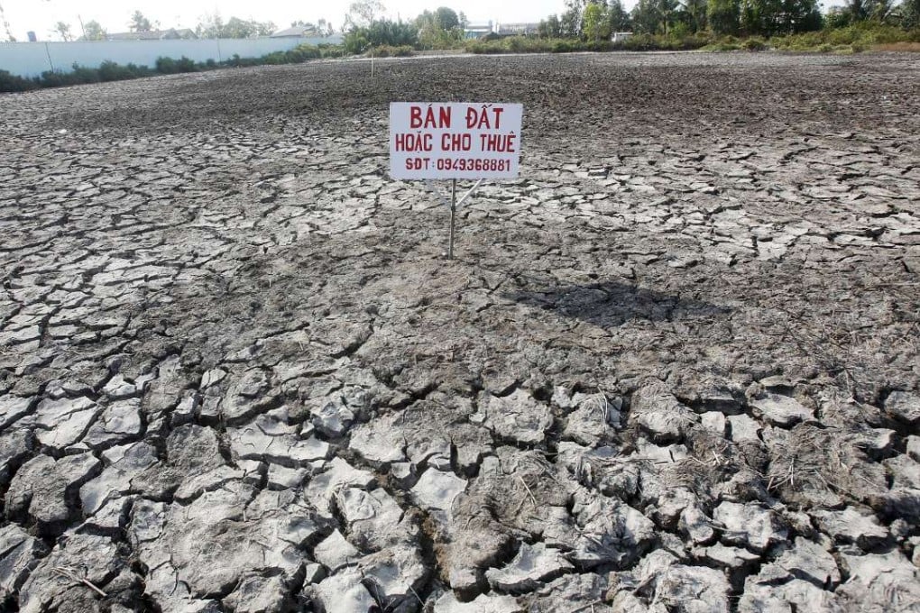 A sign reading “Land for sale or for lease” stands in a drought-stricken rice field in Bac Lieu province, Vietnam. Photo: Reuters