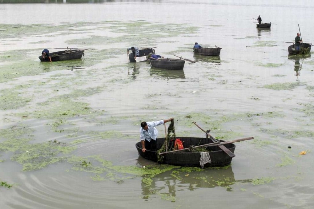 Fishermen collect floating pollutants in a tap water source in Chaohu, Anhui province. Photo: CFP