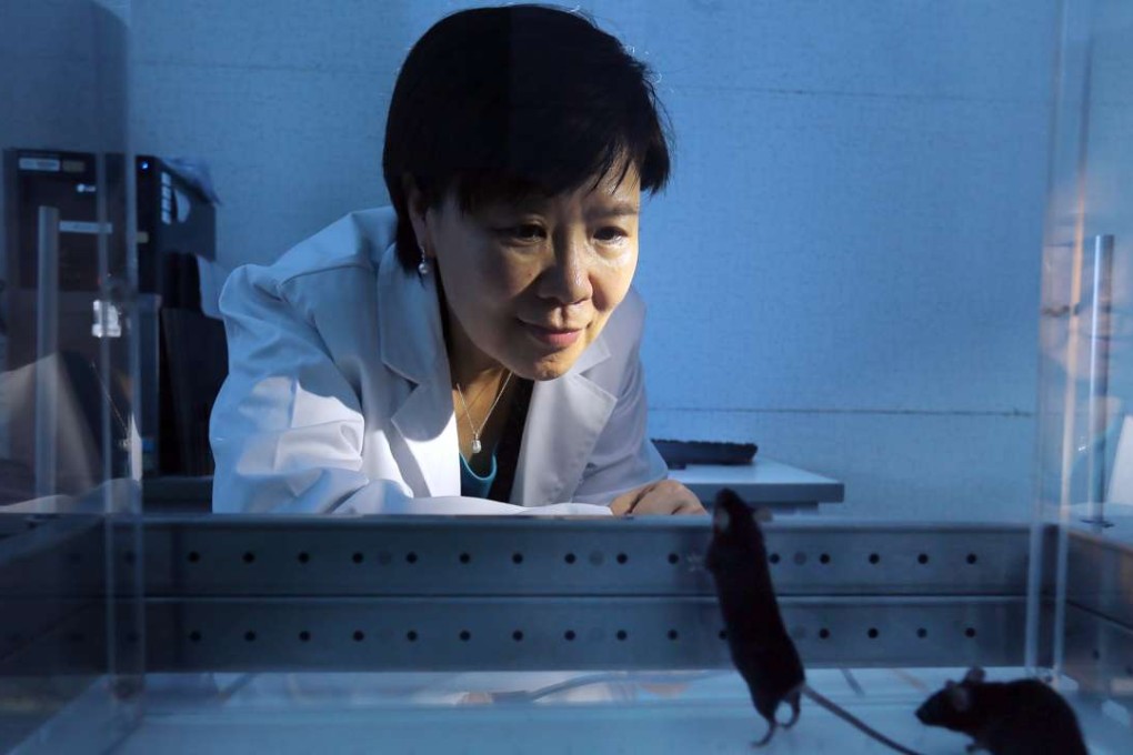 Science Professor Nancy Ip, from University of Science and Technology, has developed a protein which can treat Alzheimer's disease in mice. Photo: Dickson Lee